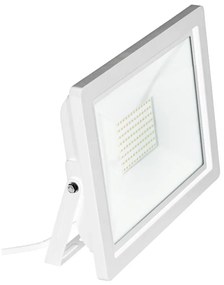 Eglo 64843 - LED Прожектор FILETTI LED/50W/230V 3000K IP65 бял