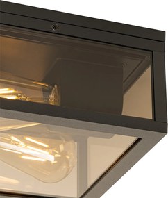 Таванна лампа черна с димно стъкло 2-светлина IP44 - Charlois