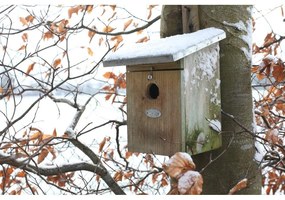 Дървена къщичка за птици – Esschert Design