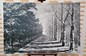 Картина на платно – Есенна алея от дървета в черно-бяло