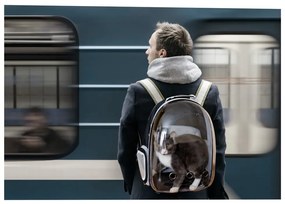 Чанта за транспортиране на домашни любимци 28x33 cm – Love Story