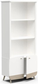 Библиотечка Firma-Leuko