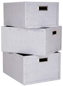 Светлосиви картонени кутии за съхранение в комплект от 3 броя Ture - Bigso Box of Sweden