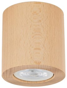 Спот EVE 1xGU10/10W/230V бук