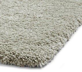 Светлозелен килим 200x290 cm Sierra – Think Rugs