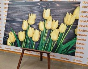 Картина на платно – Омагьосващи жълти лалета на дървена основа