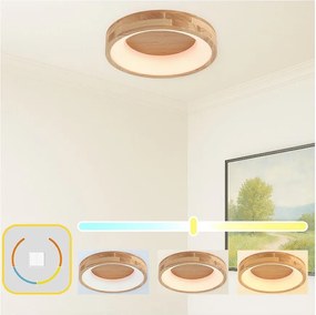 Brilagi-LED Потолно осветително тяло FALCON WOOD LED/30W/230V 3000/4000/6000K 45 cm дърво