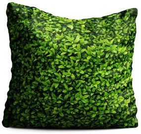 Зелена възглавница Бръшлян, 40 x 40 cm - Oyo home