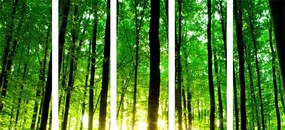 картини от 5 части – Свежа зелена гора