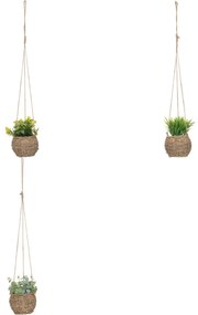 Изкуствено растение atmosphera Zoе, 17 cm, Различни видове