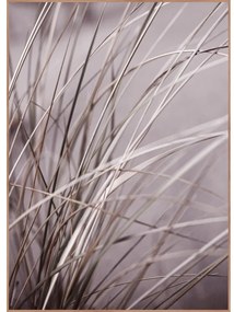 Картина 50x70 cm Mellow Grasses 1 – Malerifabrikken
