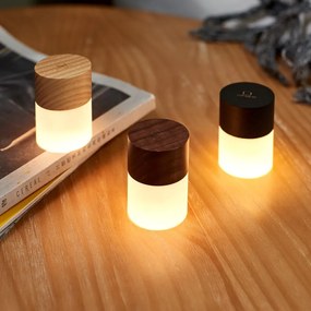 Черна светлинна декорация с USB ø 4,5 cm Lemelia – Gingko