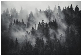 Самозалепващ фототапет – Гора в черно-бяла мъгла