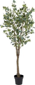 Изкуствен евкалипт (височина 173 cm) Eucalyptus – Ixia