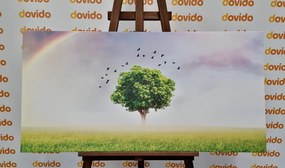 Картина на платно – Самотно дърво на ливада
