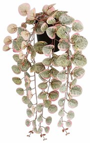 Декоративно Растение Mica Decorations Ceropegia Woodii 10 x 46 x 12 cm Изкуствен За затваряне