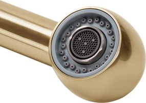 Смесител за кухня REA Troy Brush Gold