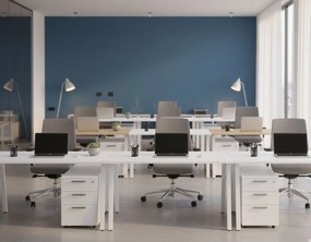 Бюро Deskudo-Leuko