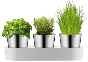 Комплект от 3 саксии за билки от неръждаема стомана Gourmet - WMF