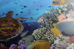 Картина на платно – Подводен свят