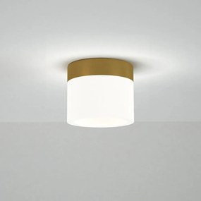 Кафява лампа за таван , ø 10 cm Congo - SULION