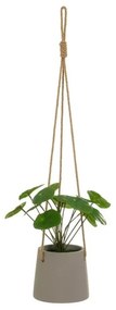 Изкуствено растение (височина 24 cm) Pilea – Casa Selección