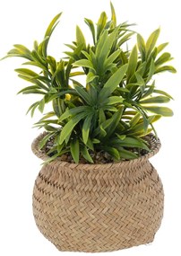 Изкуствено растение atmosphera Jiling, 20 cm