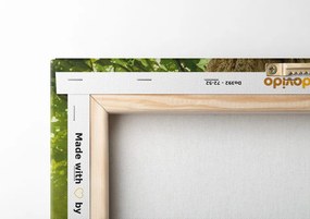 Картина на платно – Корен на дърво