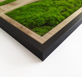 Декорация за стена 50x100 cm Tree – Styler