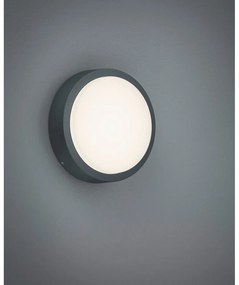 LED външно стенно осветление ø 20 cm Berg - Trio