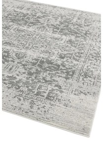Сив килим 200x290 cm Nova – Asiatic Carpets
