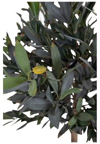 Изкуствено маслиново дърво (височина 126 см) - House Nordic