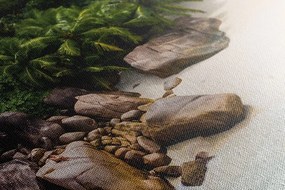 Картина на платно – Крайбрежие на Сейшелите