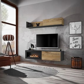 Холна секция Reymond-Anthraki