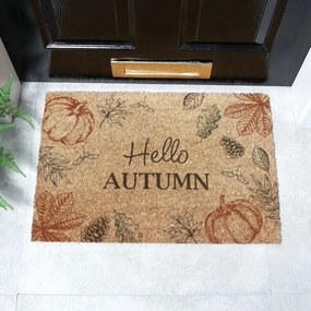 Изтривалка от кокосови влакна 40x60 cm Hello Autumn – Artsy Doormats