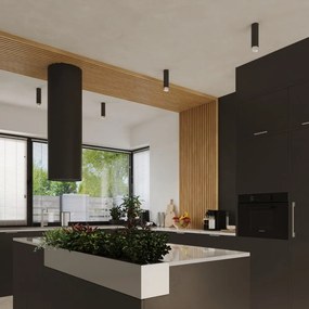 Осветително тяло за таван в черен и сребрист цвят Crown – Sollux