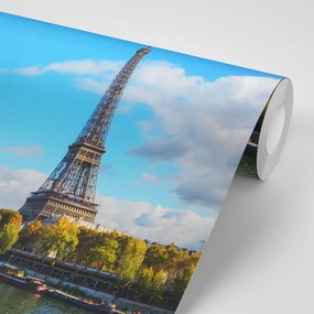 Фототапет – Прекрасна панорама на Париж
