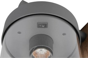 Стенно външно осветително тяло (височина 33 cm) Sambesi – Trio