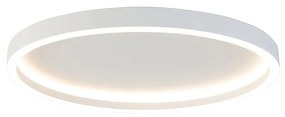 Дизайнерски таванна лампа бяла с LED - Daniela