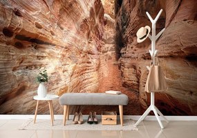 Фототапет – Пътека през Гранд Каньон