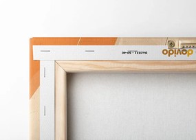 Картина на платно – Художествени линии Peach Fuzz