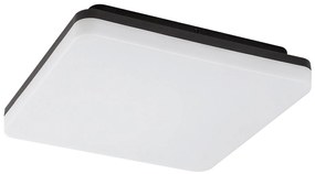 RABALUX 7250 Перник външна лампа, IP54, 24W, 2400LM, LED 24W - 7250