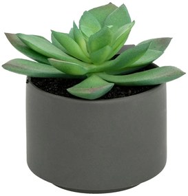 Изкуствено растение atmosphera Succulent, 13 cm, Различни видове