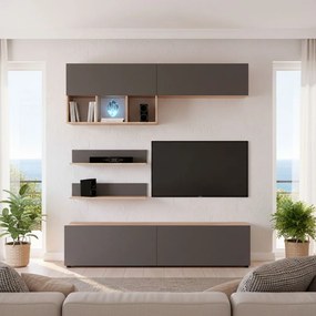 Холна секция Sami