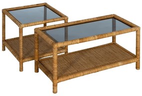 Масичка за кафе със стъклен плот в естествен цвят 40x90 cm – Ixia