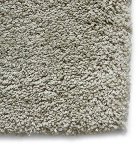 Светлозелен килим 120x170 cm Sierra – Think Rugs