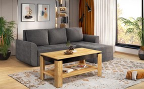 Холна маса Ксена