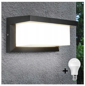 LED Екстериорна лампа с крушка със сензор за здрач NEELY 1xE27/9W/230V IP54