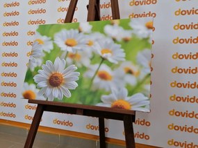 Картина на платно – Пролетна ливада, пълна с цветя
