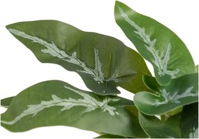 Изкуствено растение (височина 21 cm) Syngonium – Ixia